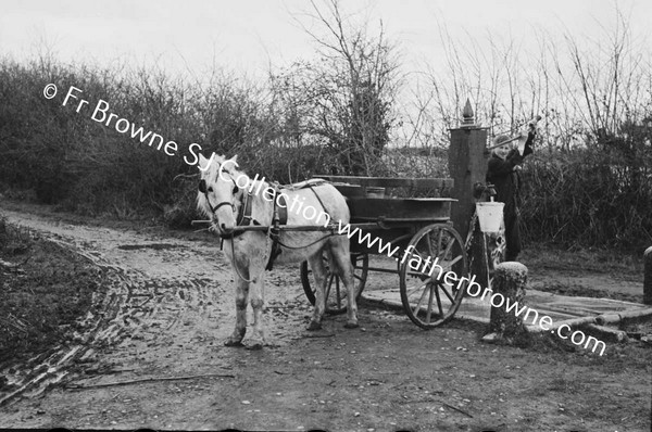 PONY AT THE PUMP